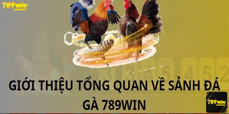 Đá gà online 789win được nhiều bet thủ đánh giá cao về chất lượng